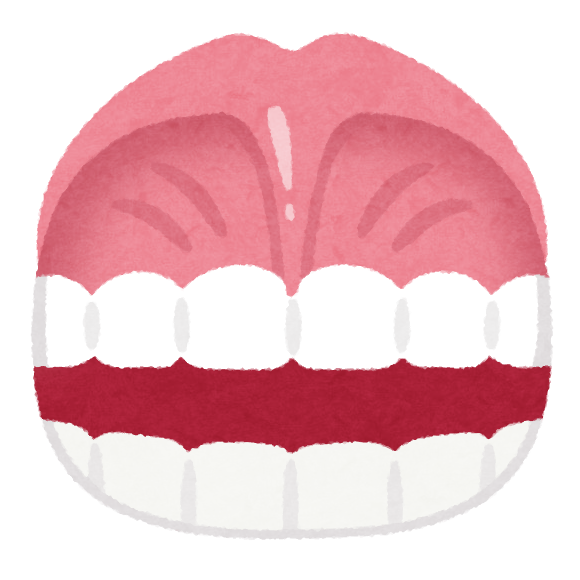 歯茎の色について