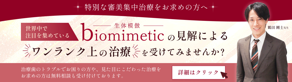 特別な審美集中治療をお求めの方へ