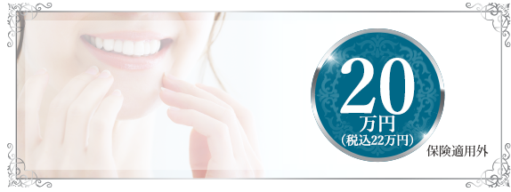 オーソパルス20万円(税込22万円)