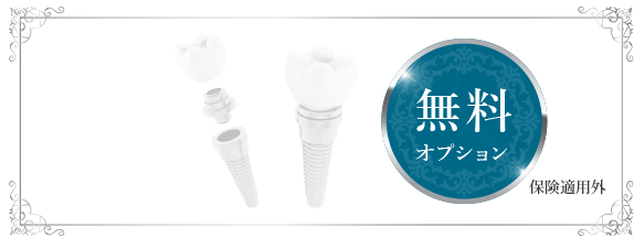 ミニインプラント