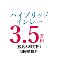 ハイブリッドインレー